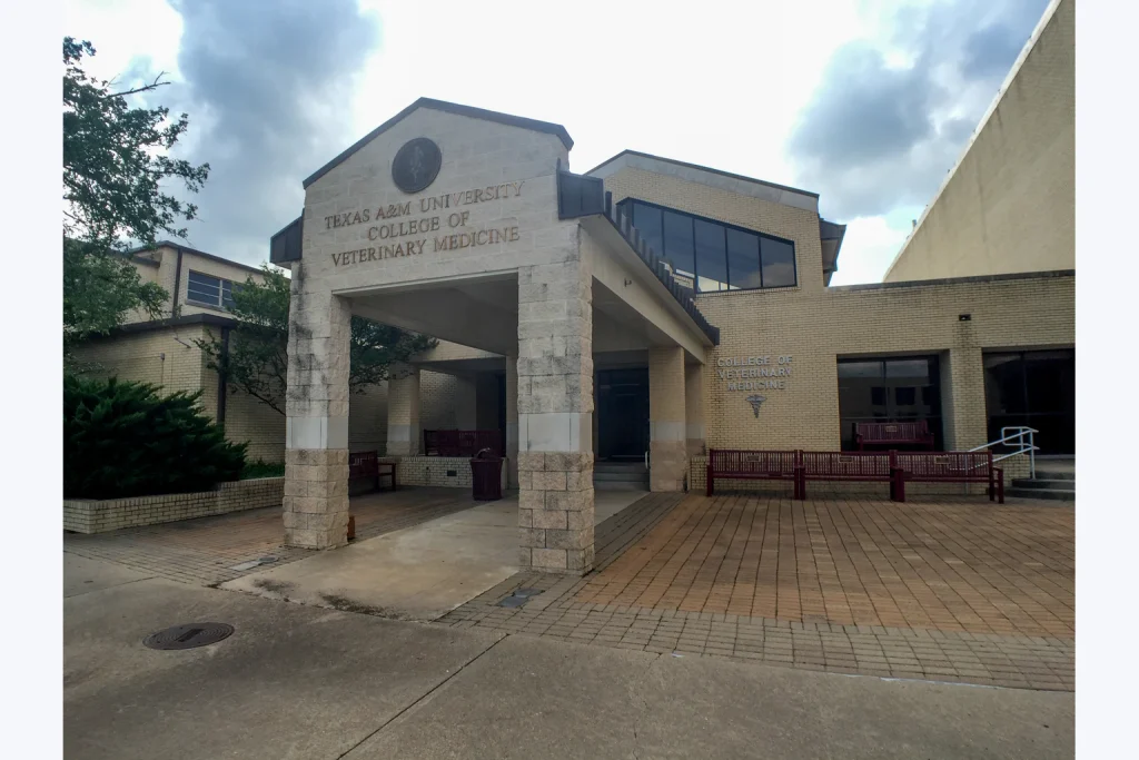 Texas A&M University College of Veterinary Medicine building in College Station